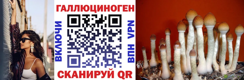 Купить закладки  Боготол  Галлюциногенные грибы мицелий 