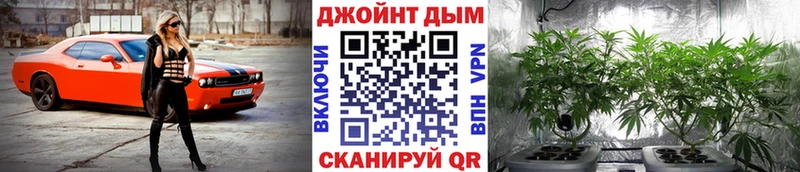 Купить где  Боготол  Марихуана планчик 
